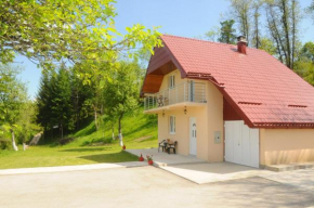 VILLAGE HOUSE ALEKSIĆ